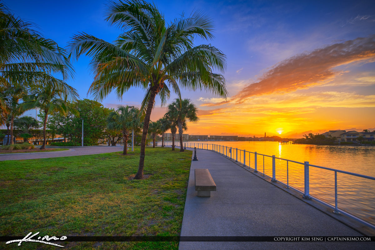 Sunrise Sawfish Bay Park Coconut Tree Royal Stock Photo