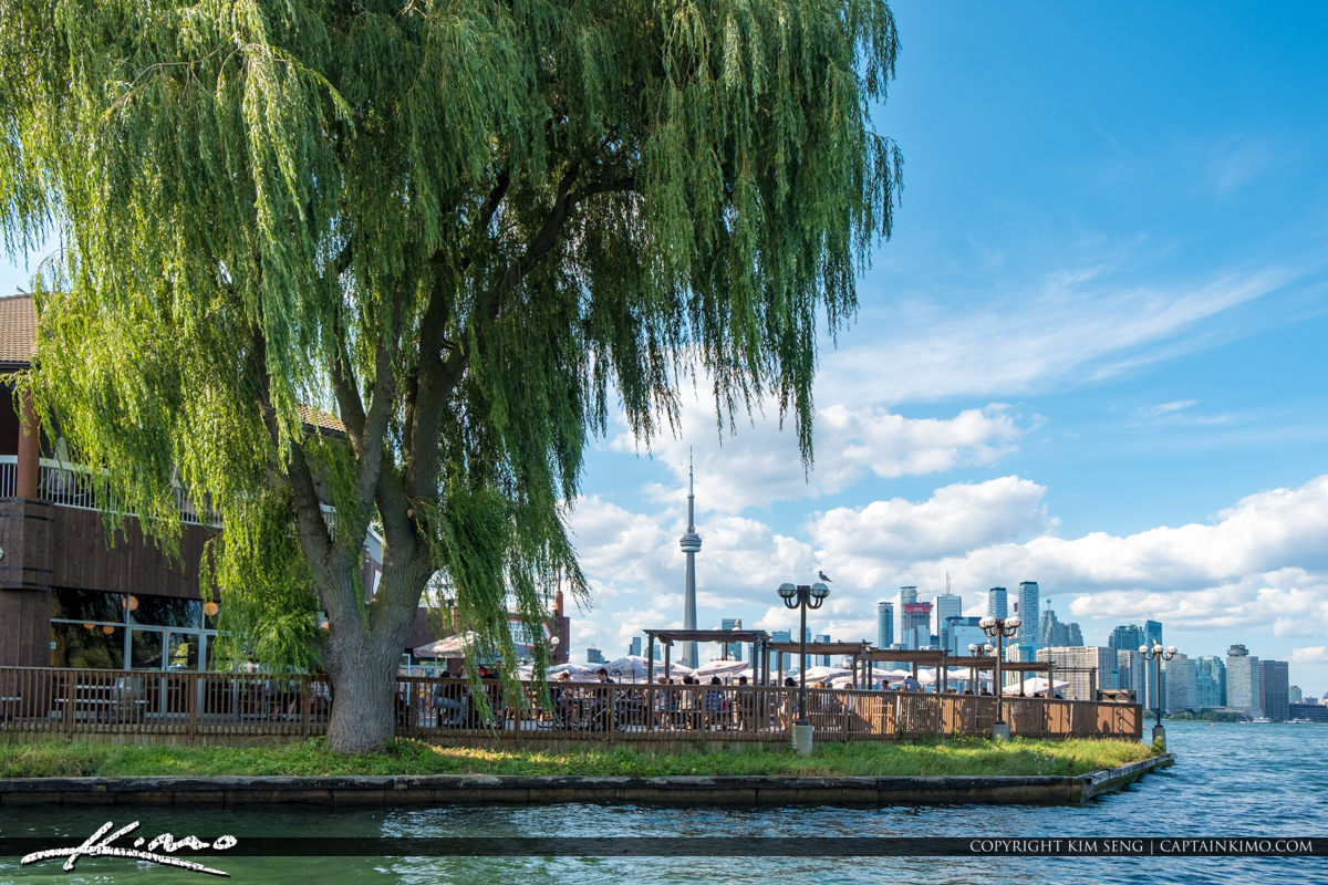 Wispering Willow Tree Skyline Centre Island Toronto Ontario Cana
