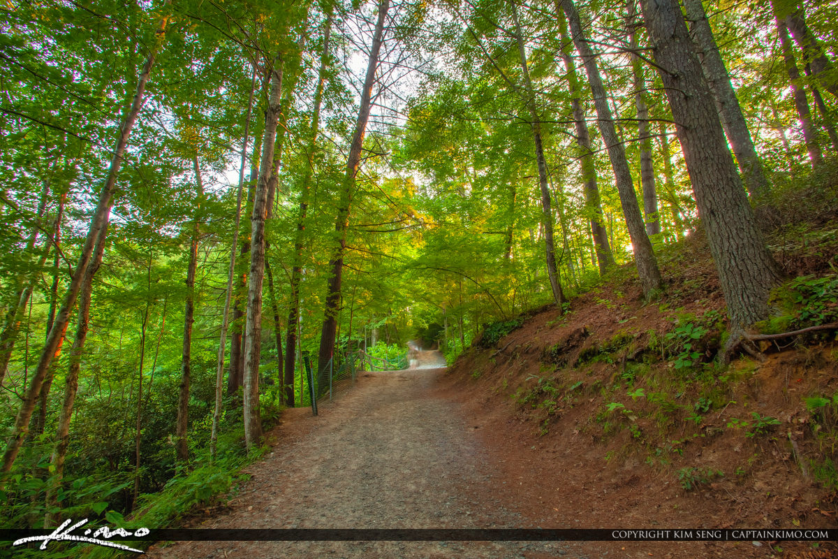 DuPont State Recreational Forest Product Tags Royal Stock Photo