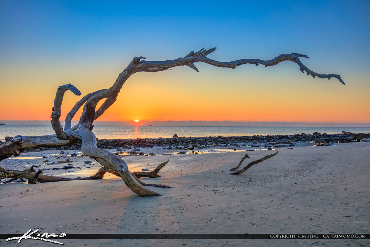 Driftwood at the Beach Sunrise Royal Stock Photo