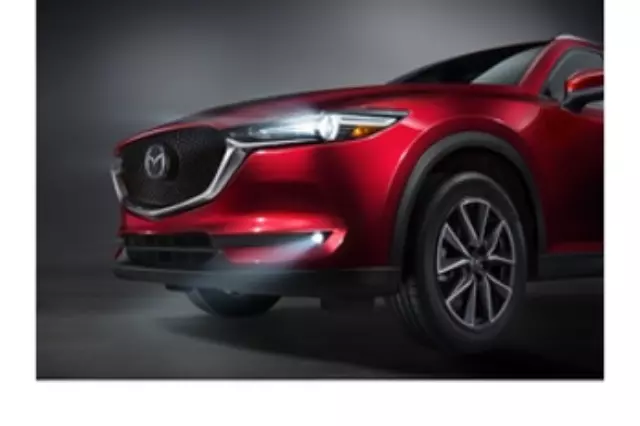 Fog Light Switch W/ Auto Headlight