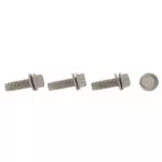 Mount Bracket Bolt