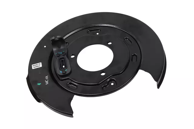 Rear Passenger Side Brake Backing Plate Assembly