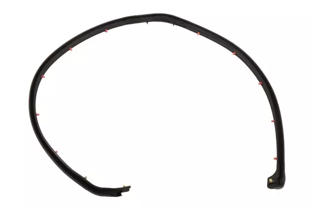 Rear Driver Side Door Weatherstrip