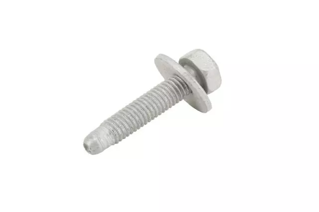 Multi-Purpose Bolt