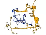 Engine Harness