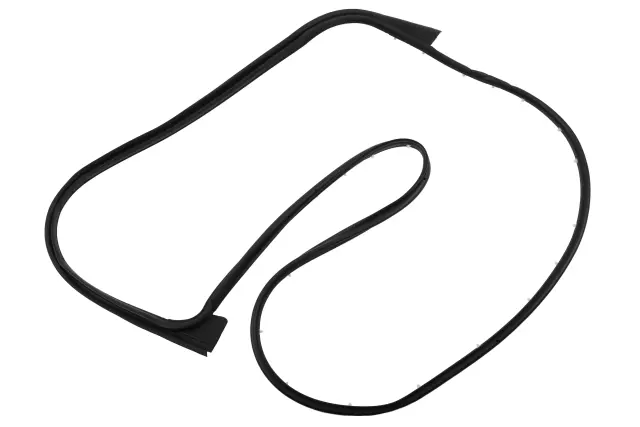 Front Driver Side Door Weatherstrip