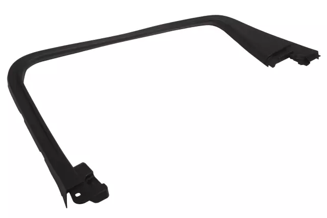 Passenger Side Rear Door Window Garnish Molding