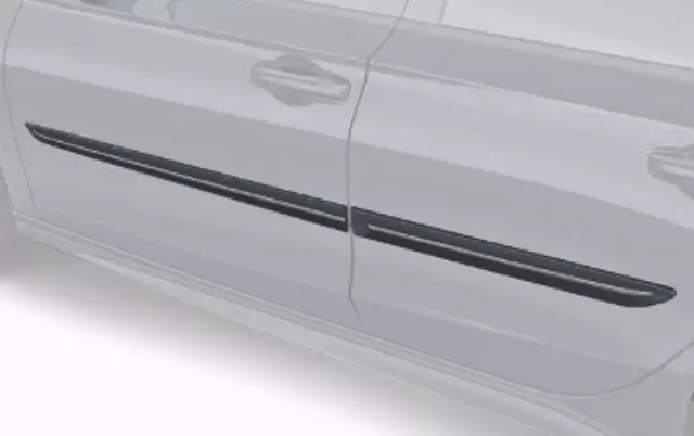 Body Side Moldings - Meteorite Gray Metallic