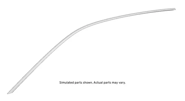 Driver Side Roof Drip Molding