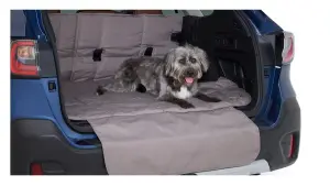 Pet Friendly Padded Cargo