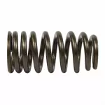 Valve Springs