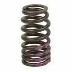 Valve Springs