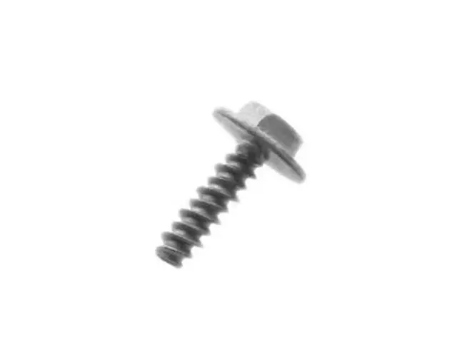 Fog Lamp Screw