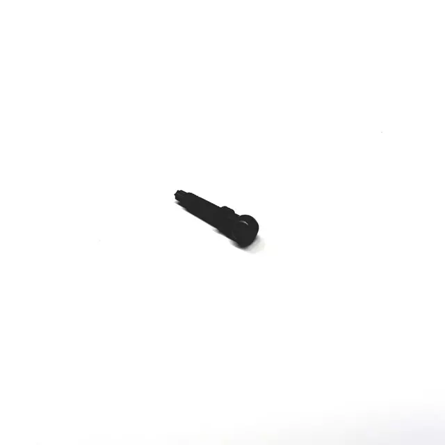 Tail Lamp Assembly Screw