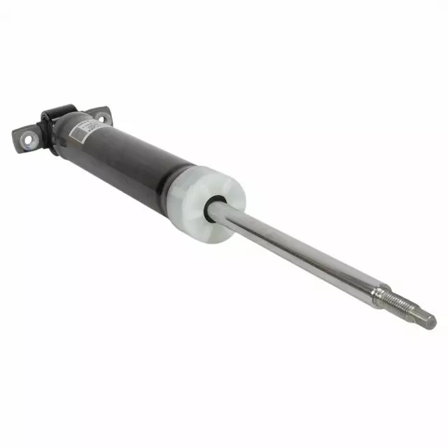 HG9Z-18125-AH - Shock Absorber Assembly 2017-2020 Ford | Ford