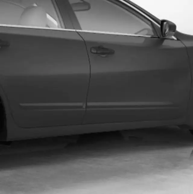 Body Side Moldings, Passenger Side