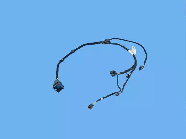 Rear Door Wiring, Driver