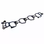 Manifold Gasket