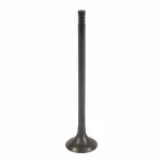Exhaust Valve
