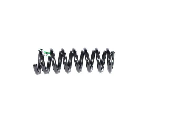 springページ 2019-2023 Dodge Challenger Rear Coil Spring, Right 68391332AB | My