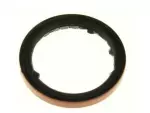 Input Shaft Seal