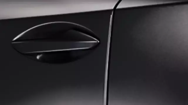 2015-2021 Lexus Door Edge Guards - Black PT936-78150-02 | OEM