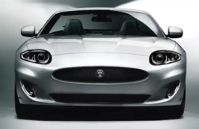 Lower Mesh Grille - Black