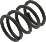 Parking Brake Shoe Hold Down Spring