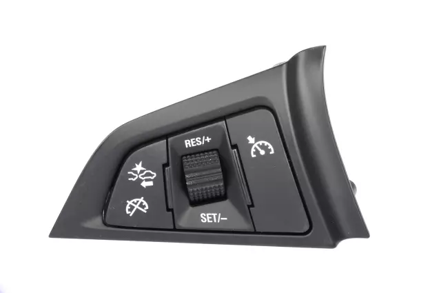 Black Cruise Control Switch