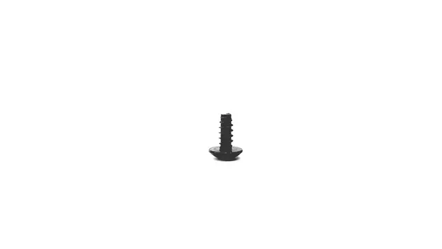 Seat Back Panel Screw