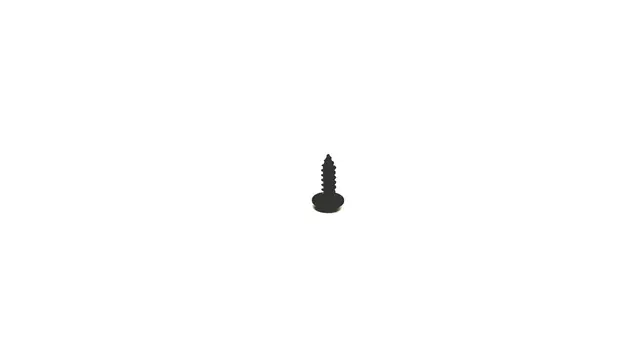 Grille Screw