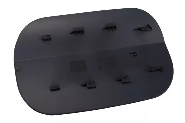 Fuel Tank Filler Door