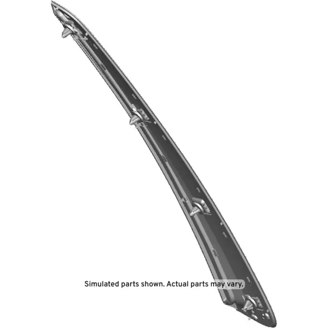 Black Passenger Side Body Side Rear Molding