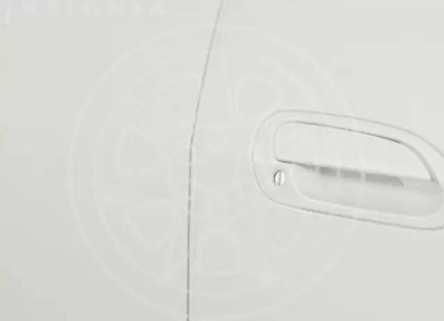 Door Edge Guards (4-Cylinder)