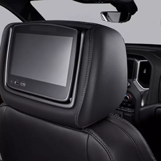 Headrest and Video Screen Assembly