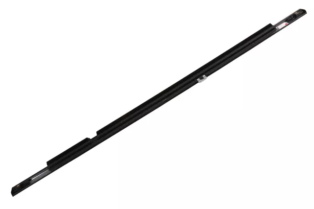 2018-2020 GM - Black Rear Driver Side Door Window Belt Reveal Molding