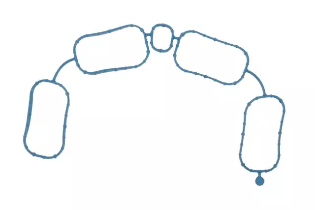 Intake Manifold Gasket
