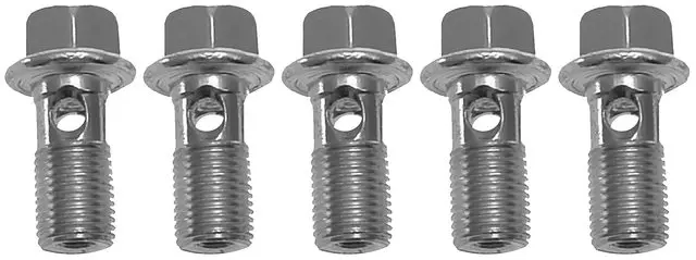 Front Brake Caliper Bolts