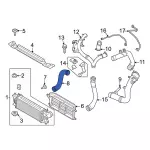 Inter-Cooler Hose