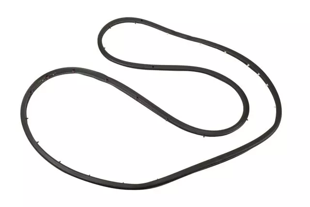 Front Passenger Side Door Weatherstrip