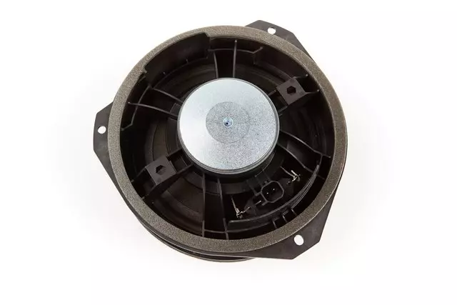 Rear Side Door Speaker