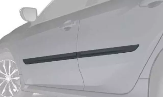 Body Side Molding - Polished Metal Metallic