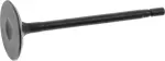 Intake Valve