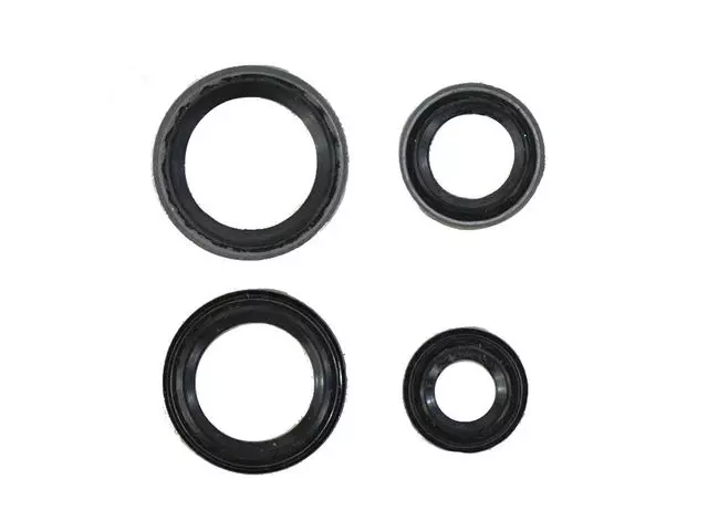 Expansion Valve Seal Kit