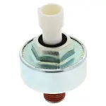 Ignition Knock (Detonation) Sensor