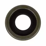Extension Housing Seal