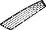 Lower Grille