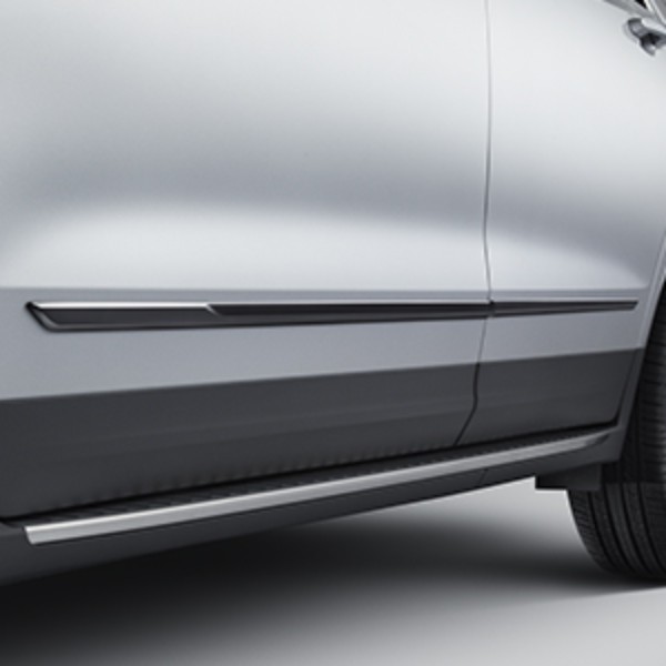 Exterior Trim, Bodyside Molding GM (23252585)