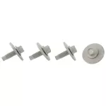 Pipe Shield Screw